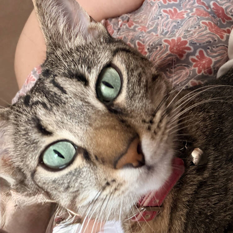 Foto de perfil de Lena