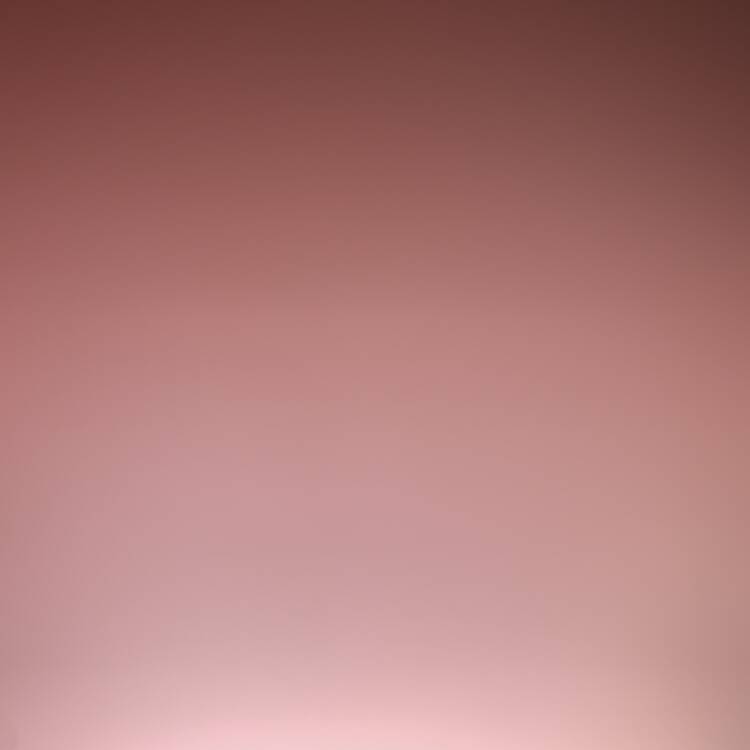 Foto de perfil de Jorge