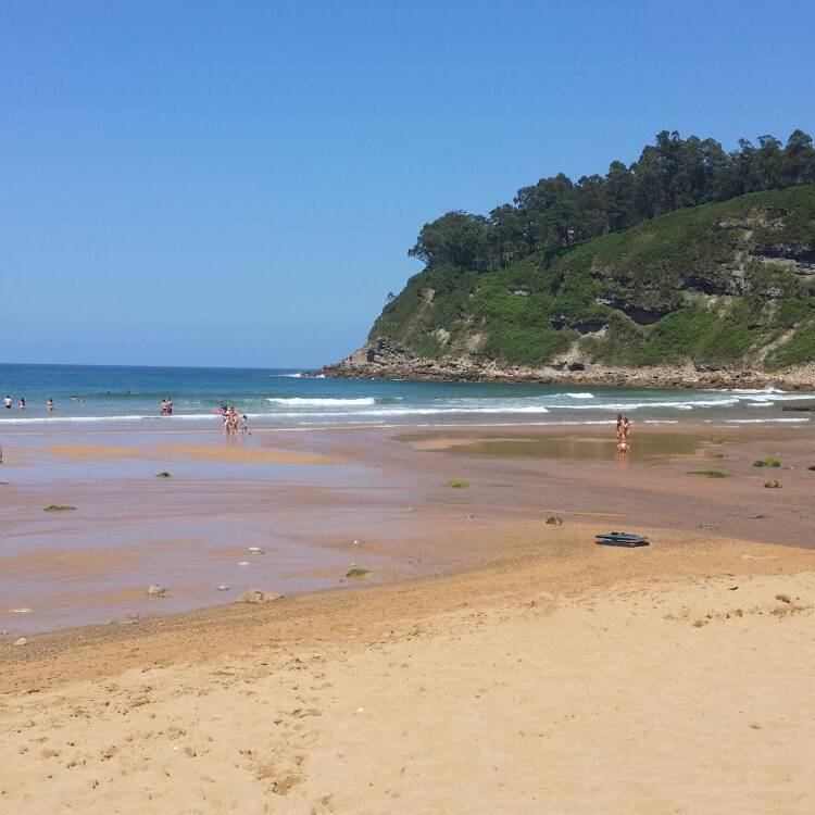 Foto de perfil de IP