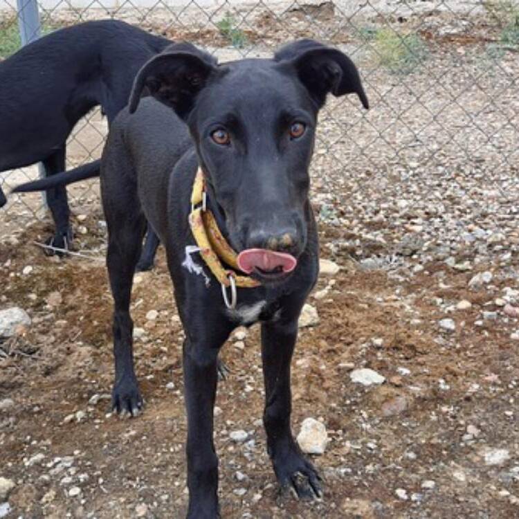 Foto de perfil de Melba