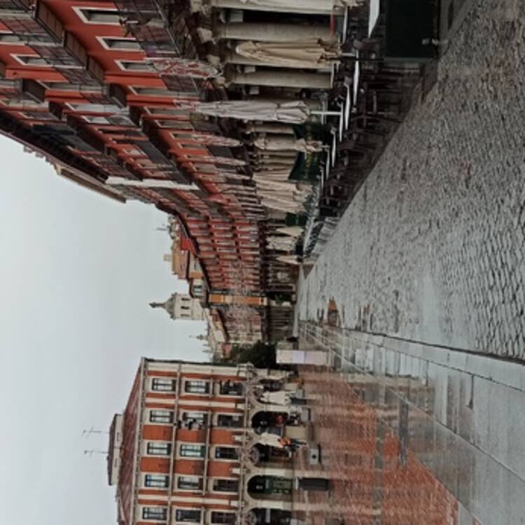 Foto de perfil de Alfonso