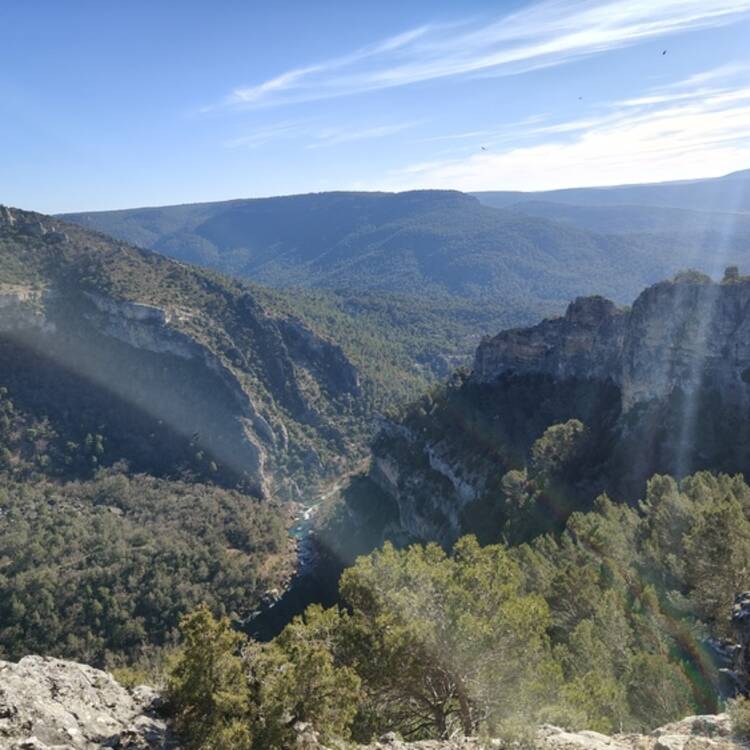 Foto de perfil de Deralex