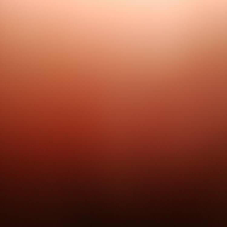 Foto de perfil de Fran