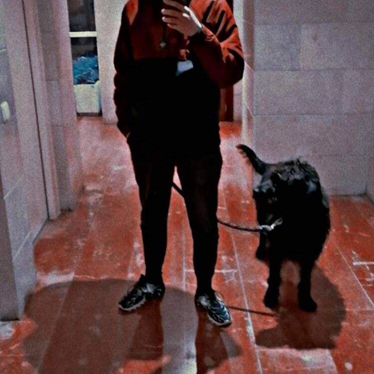 Foto de perfil de Cristian