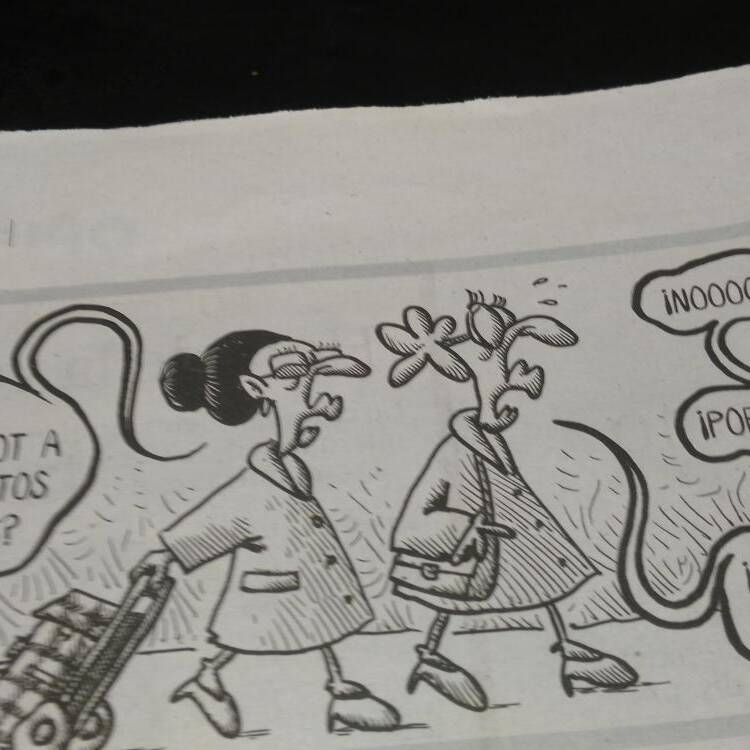 Foto de perfil de Kas_sual