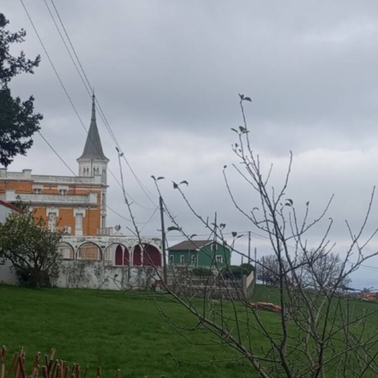 Foto de perfil de Pilar