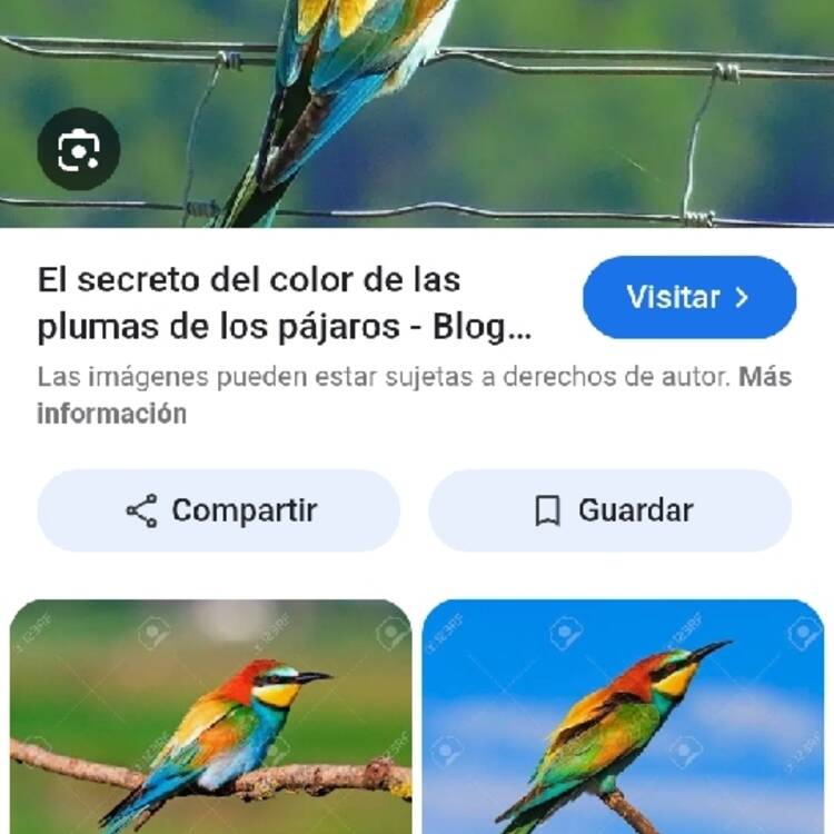 Foto de perfil de Marta