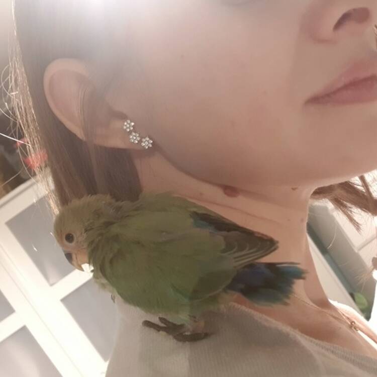 Foto de perfil de Bella