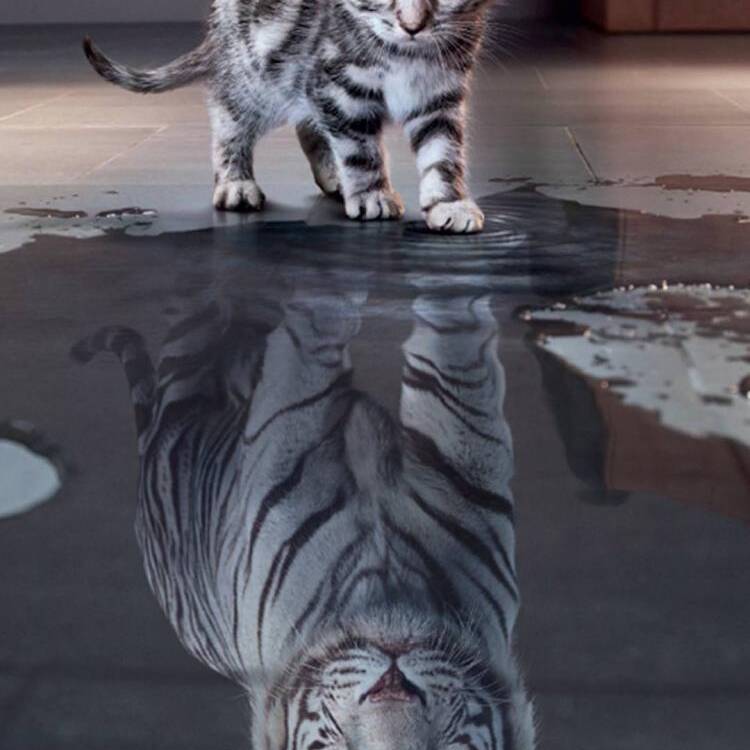 Foto de perfil de luis