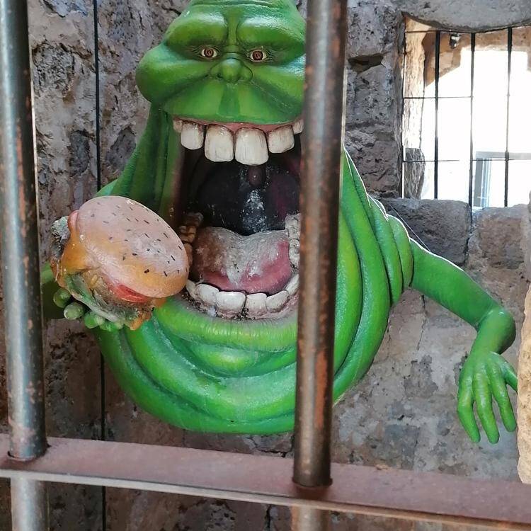 Foto de perfil de pedro