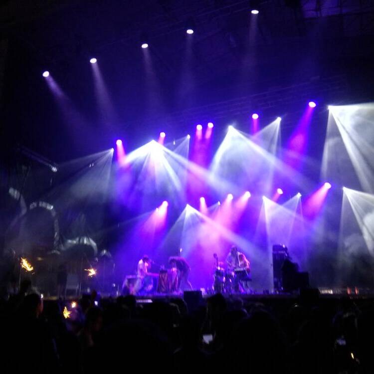 Foto de perfil de Lolita