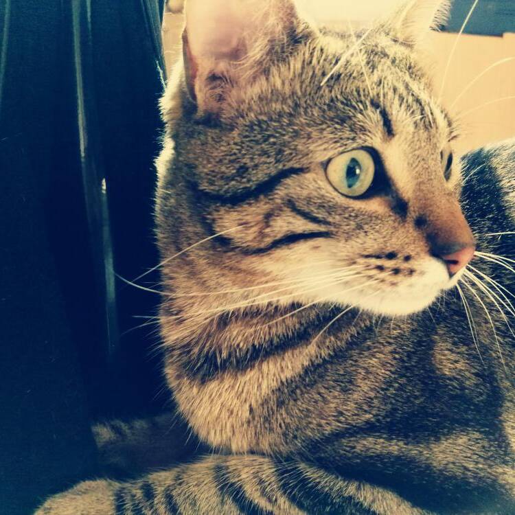 Foto de perfil de Clau Rt