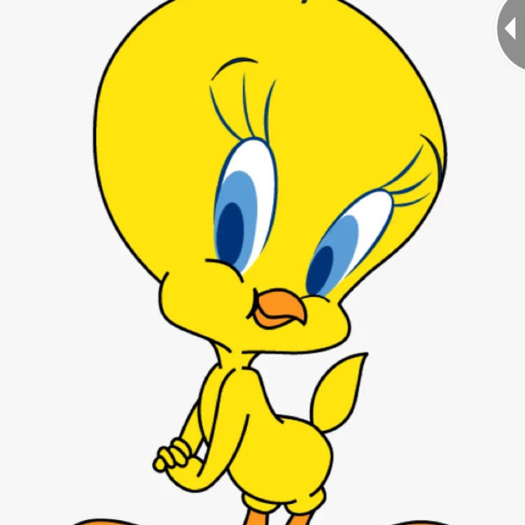 Foto de perfil de Piolín