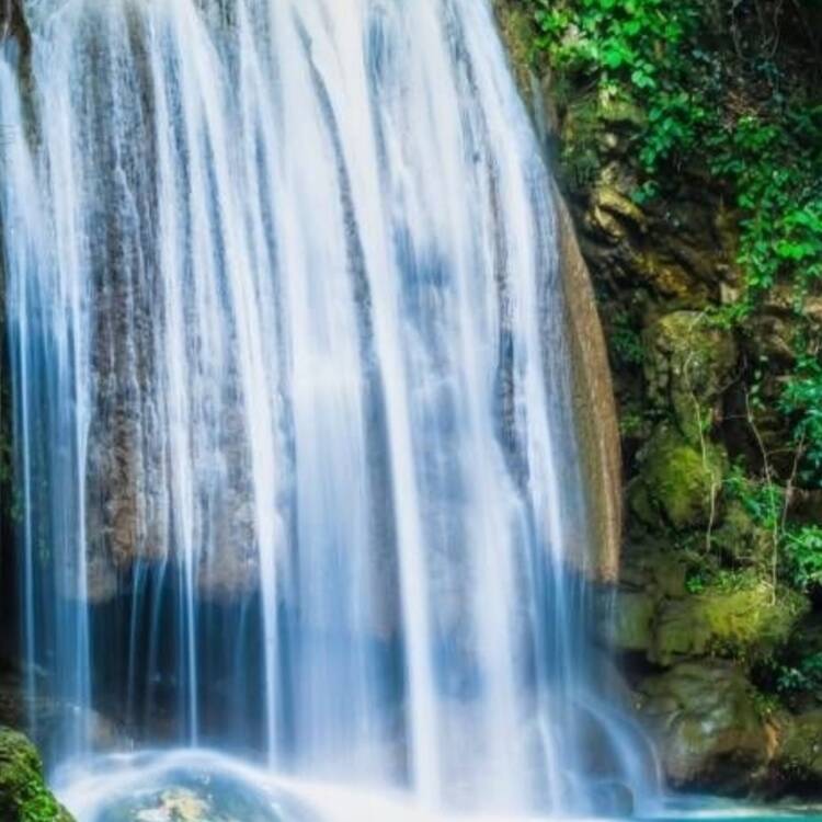 Foto de perfil de Amo