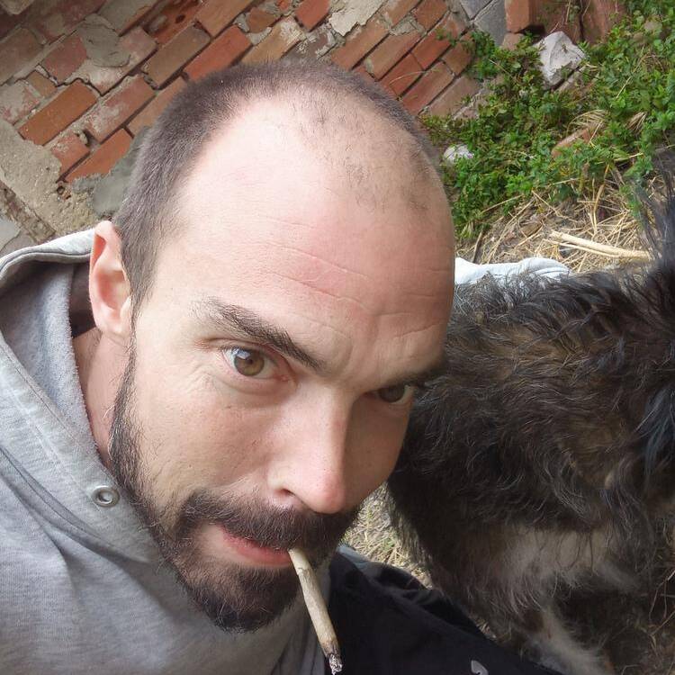 Foto de perfil de David