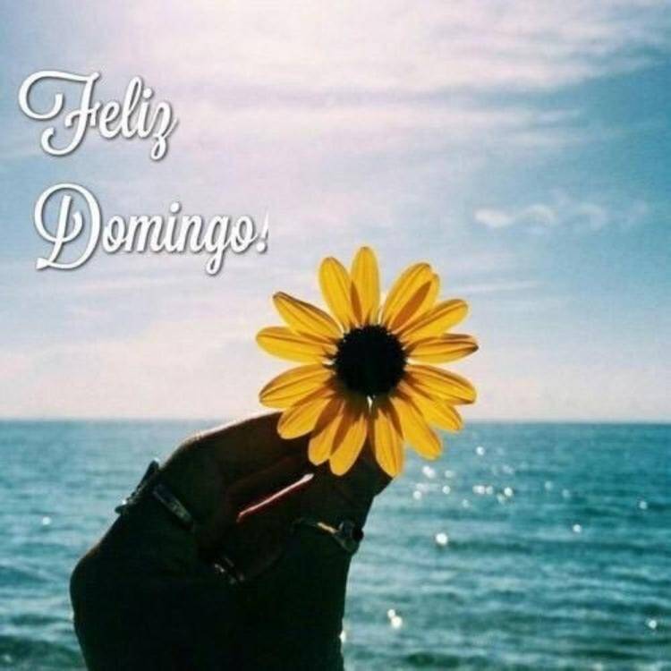 Foto de perfil de Mar?a Jos?