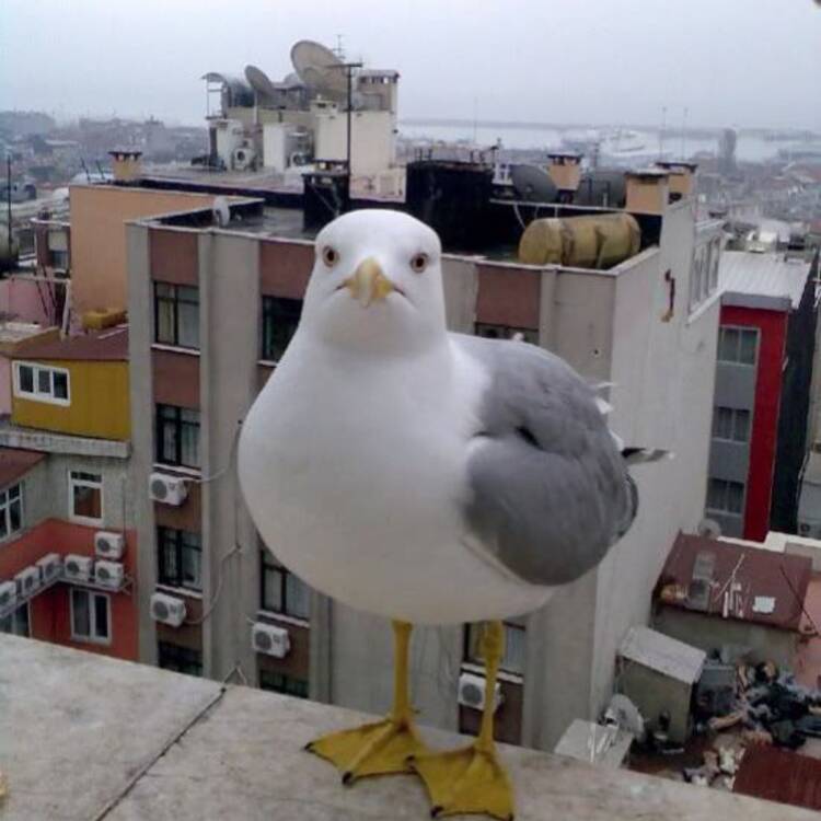 Foto de perfil de Miguel