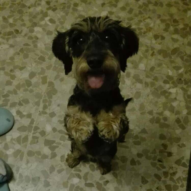 Foto de perfil de Merche