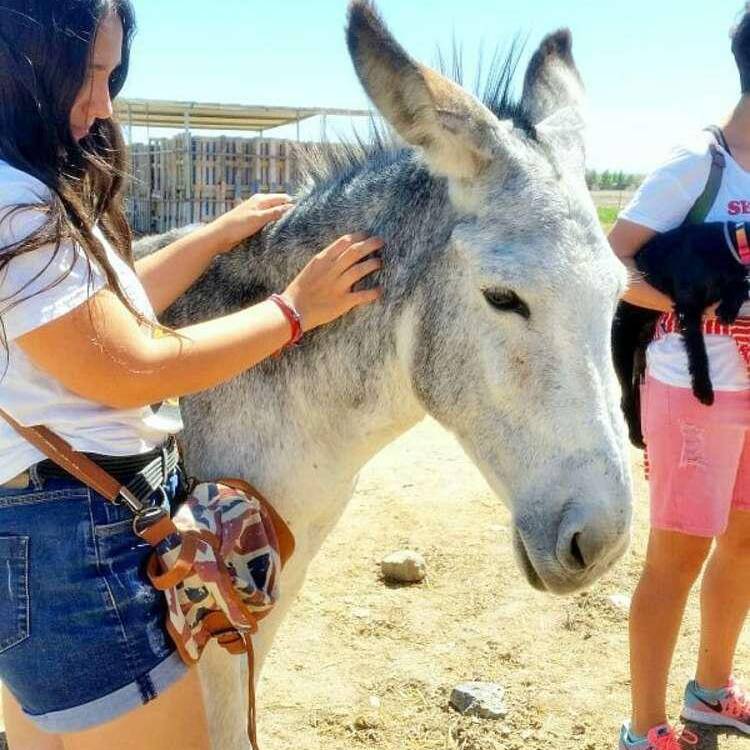 Foto de perfil de Sofia
