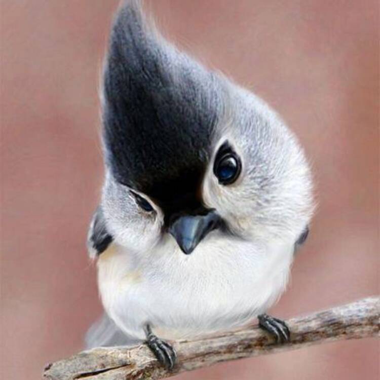 Foto de perfil de Valoro