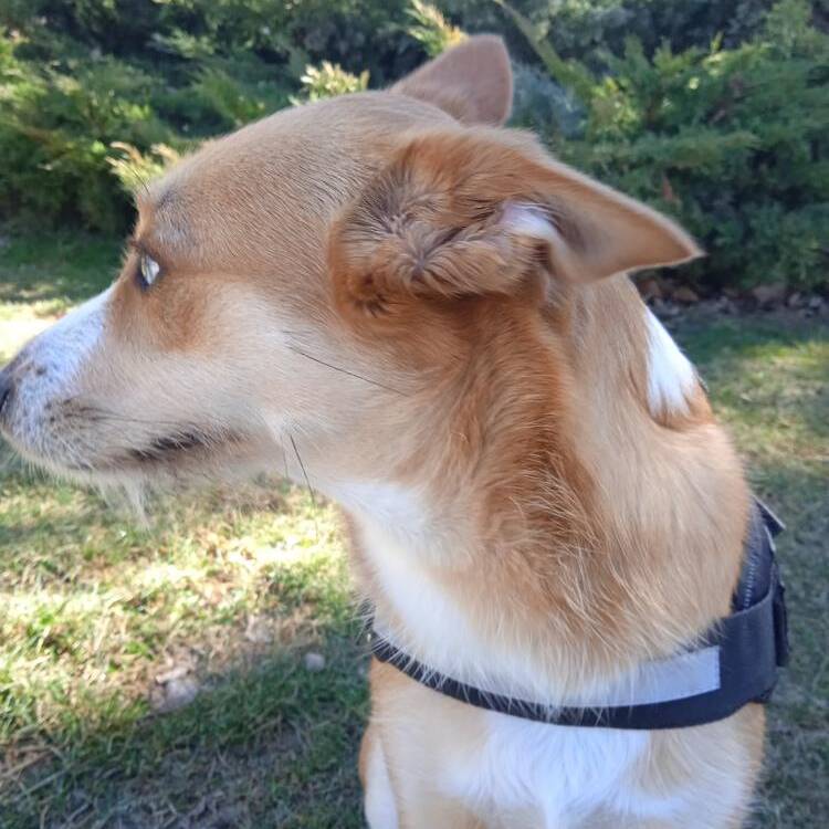 Foto de perfil de Angel