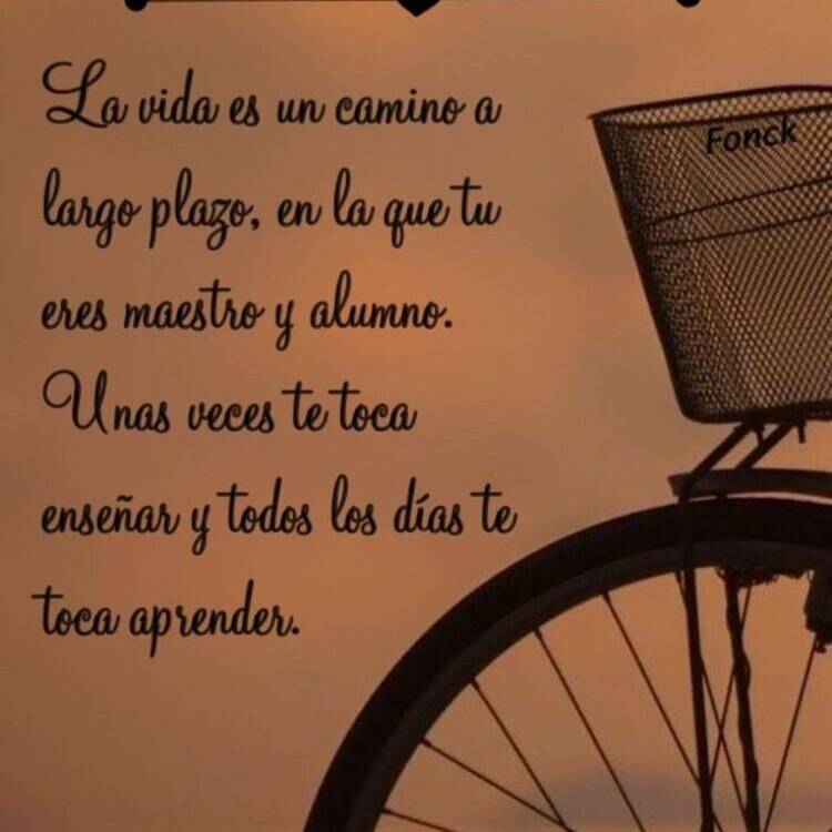 Foto de perfil de Patricia
