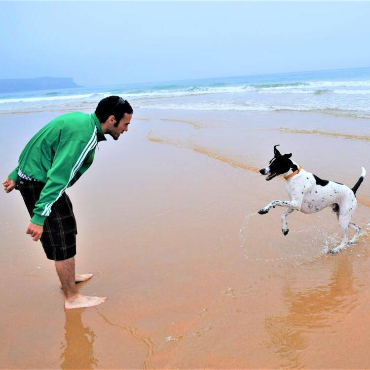 Foto de perfil de Diego Desegé