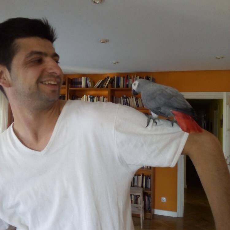 Foto de perfil de Roberto