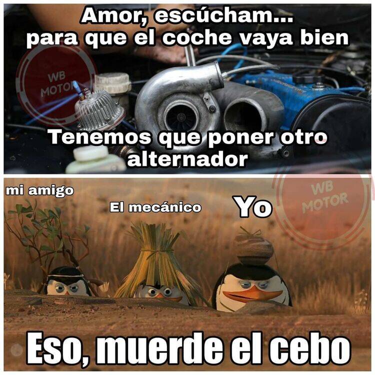 Foto de perfil de Mario