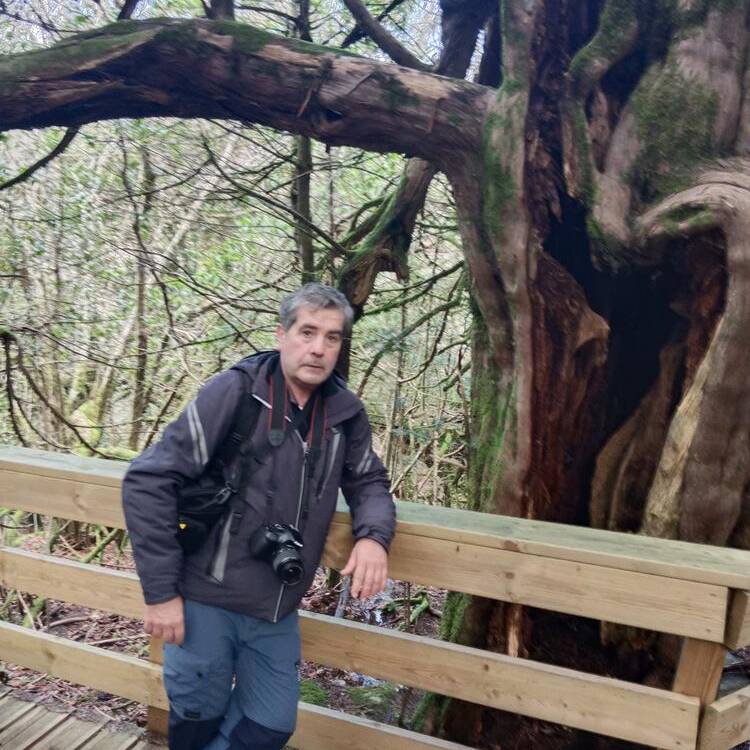 Foto de perfil de fernando