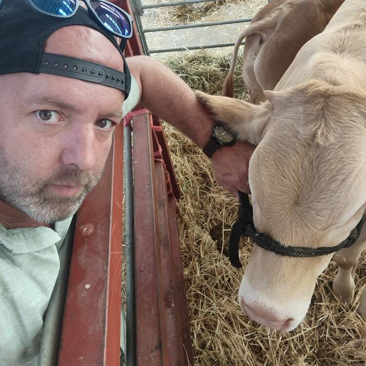 Foto de perfil de Xabier
