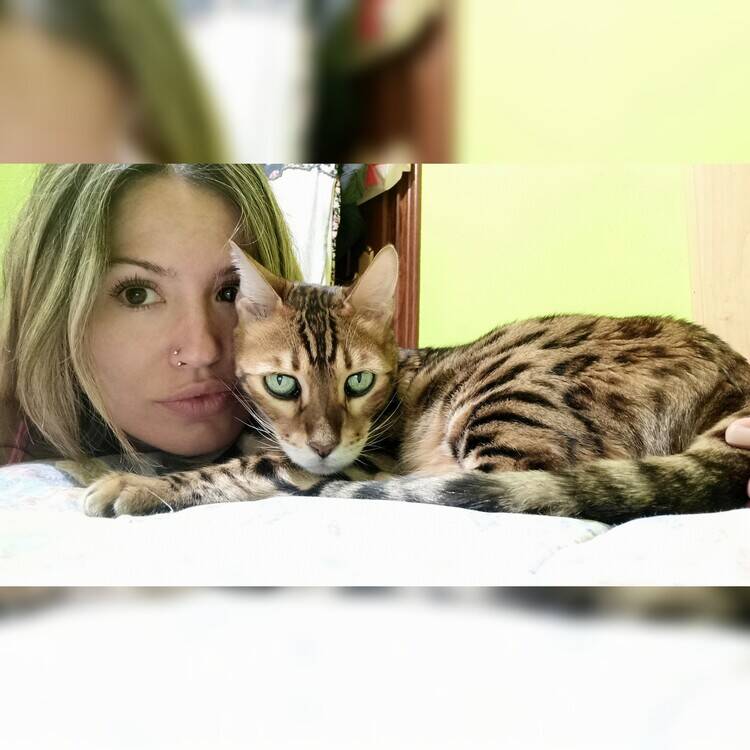 Foto de perfil de Aroa