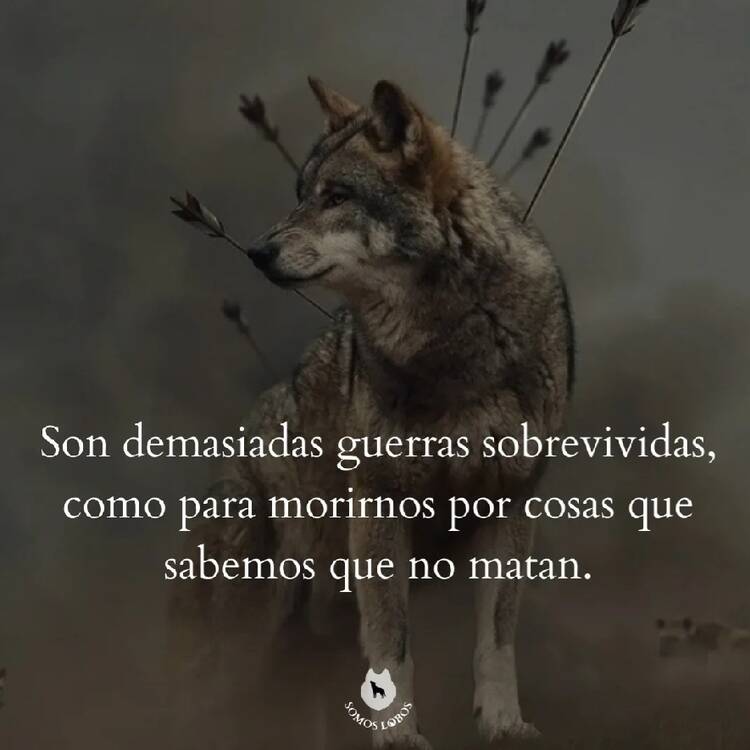 Foto de perfil de WOLF