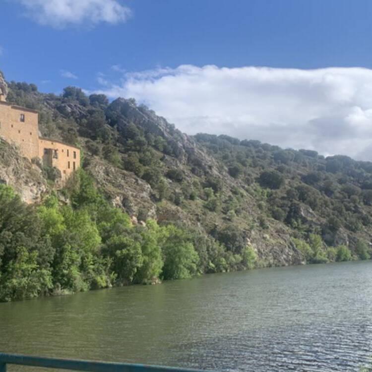 Foto de perfil de Pilar