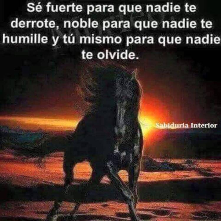 Foto de perfil de Pucelana