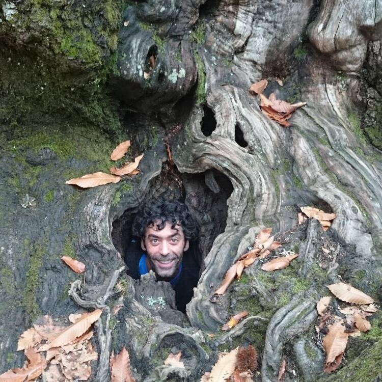Foto de perfil de David