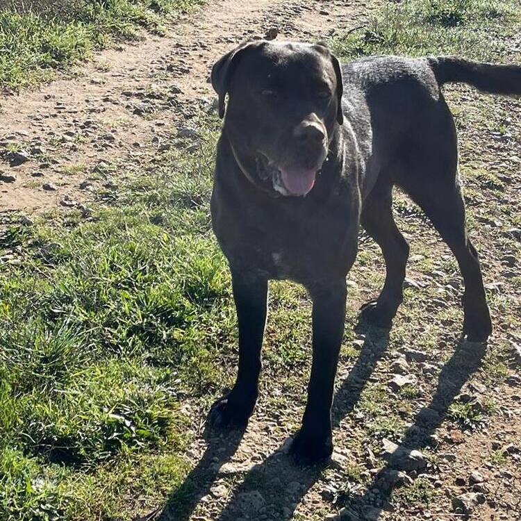 Foto de perfil de FRANK
