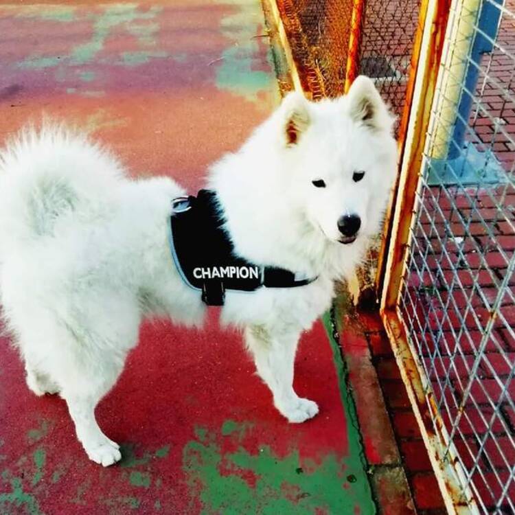 Foto de perfil de Riky49