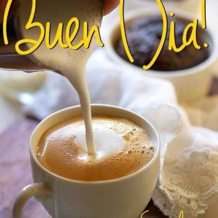 Foto de perfil de jose