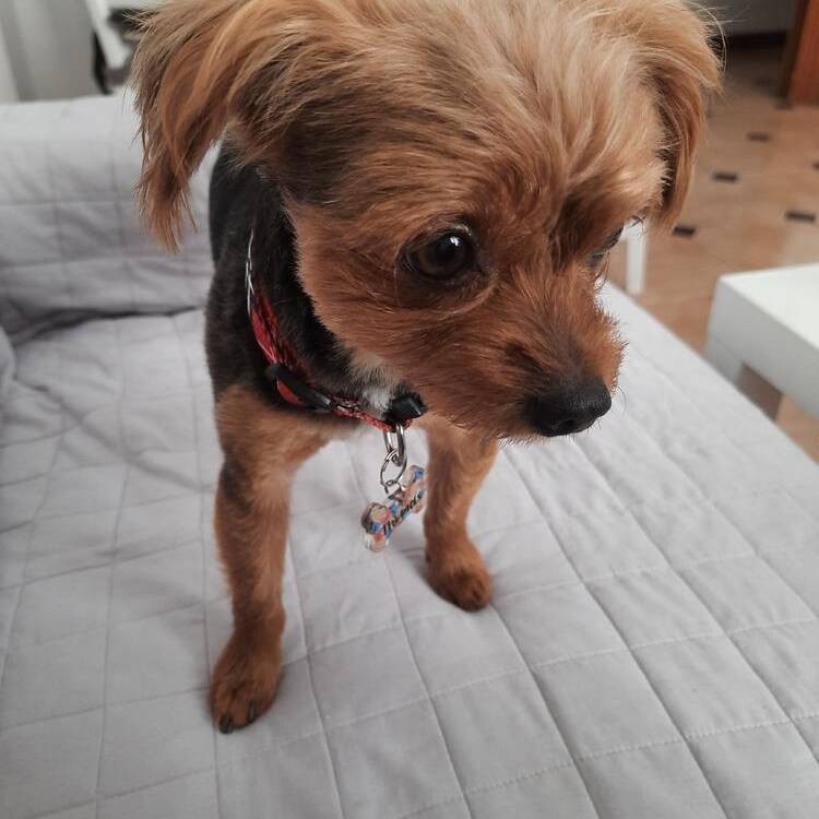 Foto de perfil de Maria Eliza
