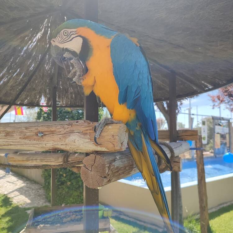 Foto de perfil de Félix