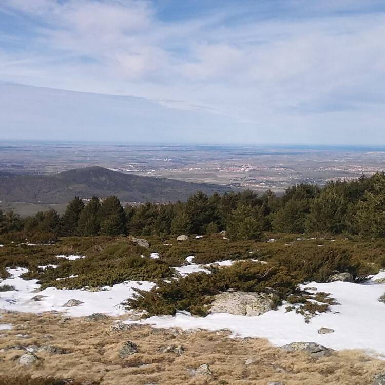 Foto de perfil de Calcetin