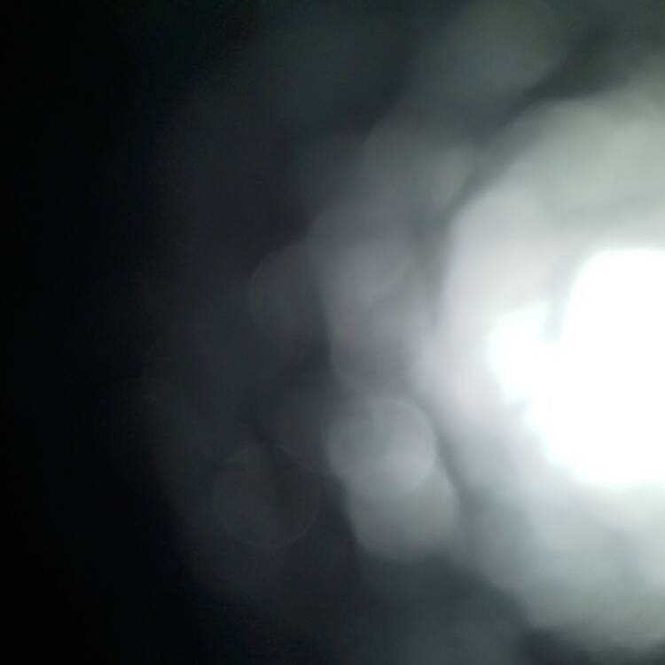 Foto de perfil de Raul
