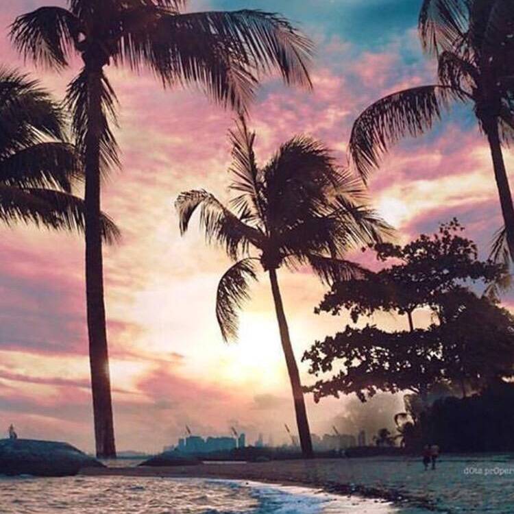 Foto de perfil de Mar