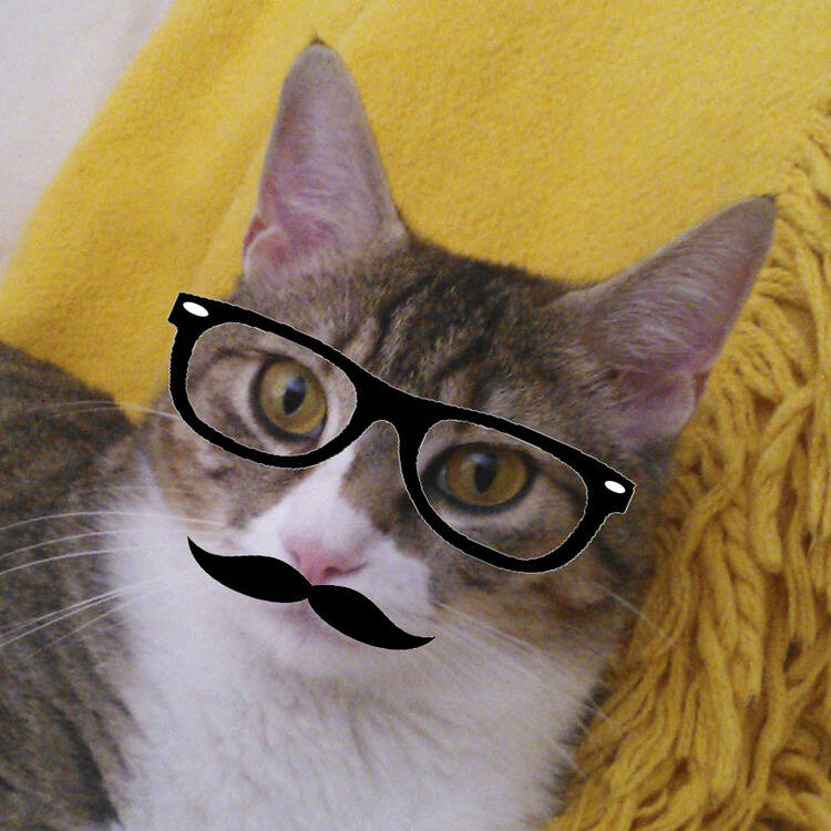 Foto de perfil de Fran