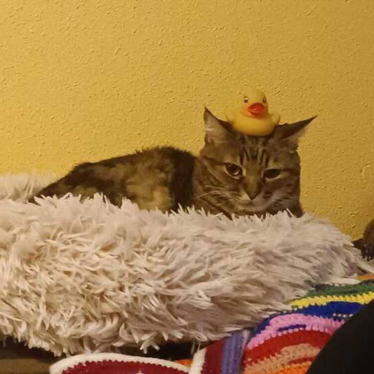 Foto de perfil de maria
