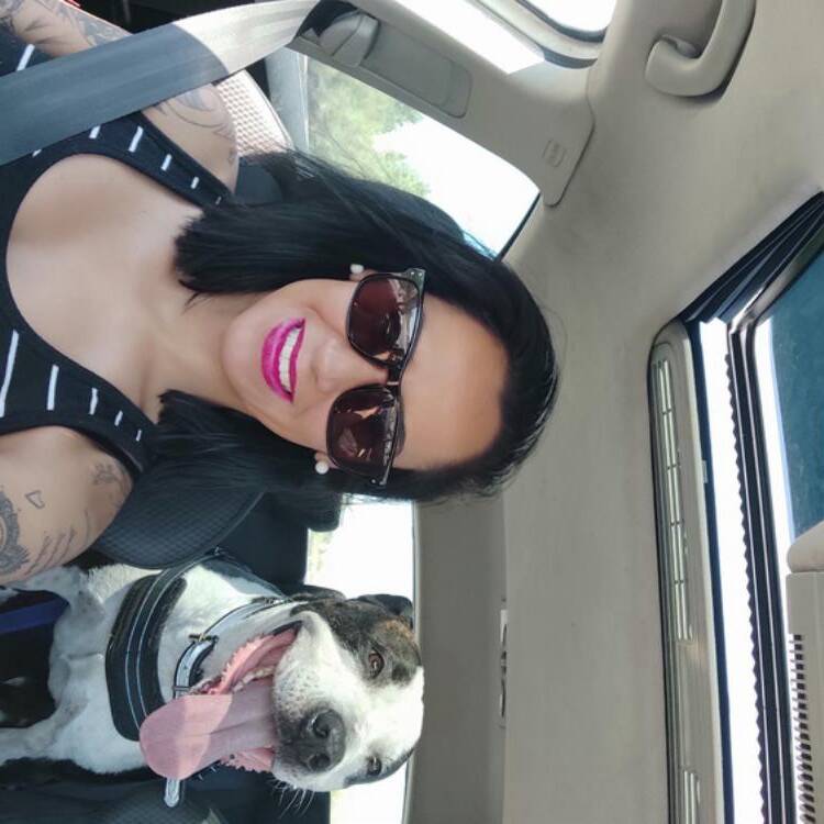 Foto de perfil de Sheila