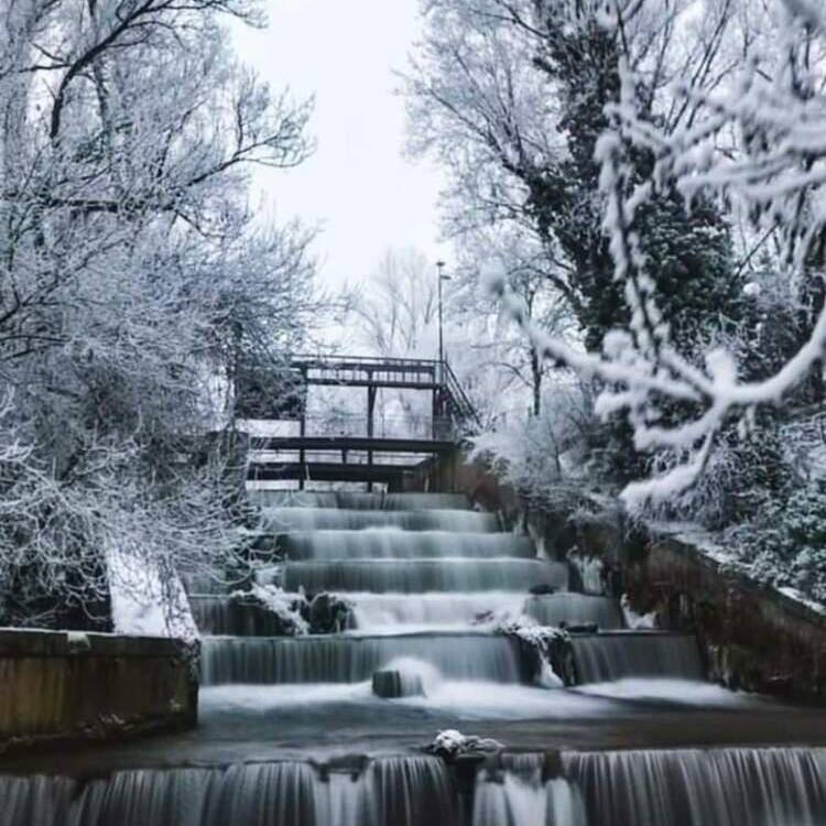 Foto de perfil de Angeles