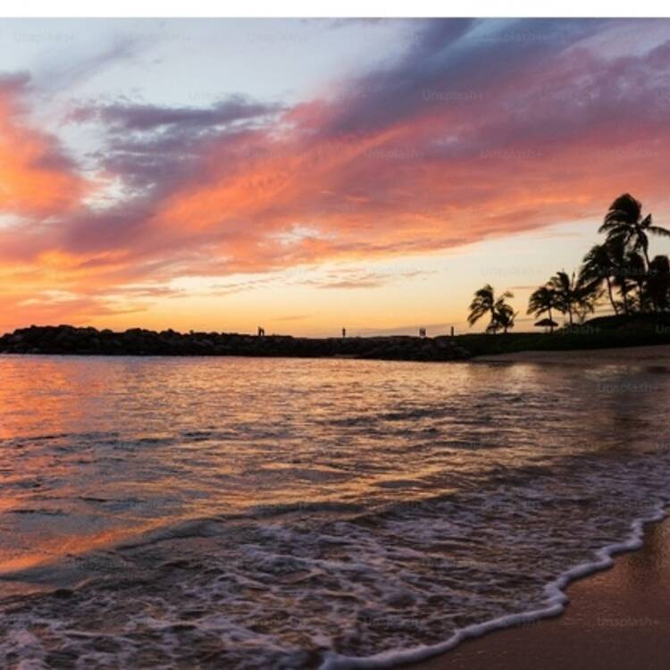 Foto de perfil de Mencia