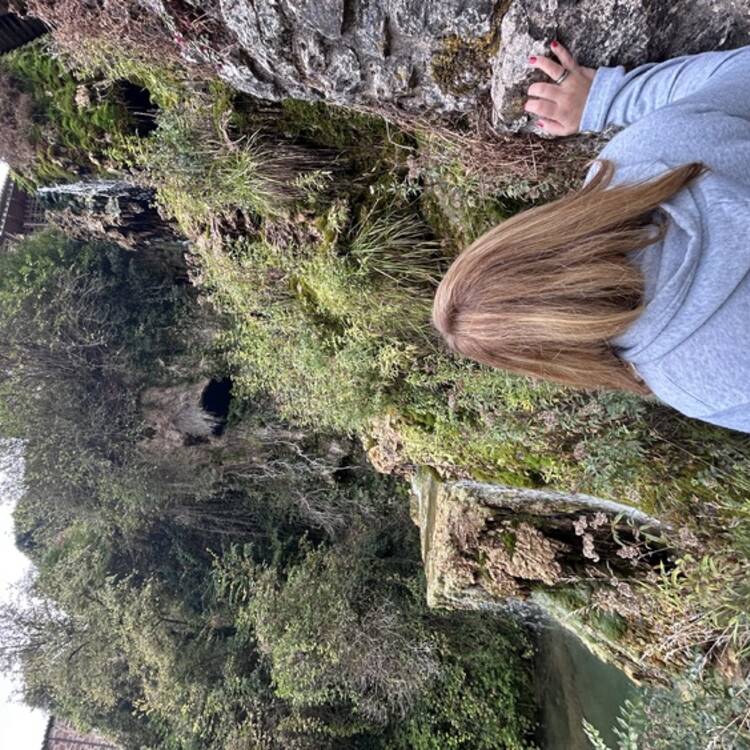Foto de perfil de Laura
